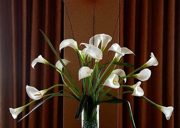Crowne Plaza Grand Hotel 4*